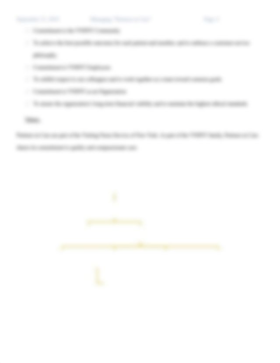 Managing Partners in Care Final (CA).docx_dfwuhdlqgn0_page4