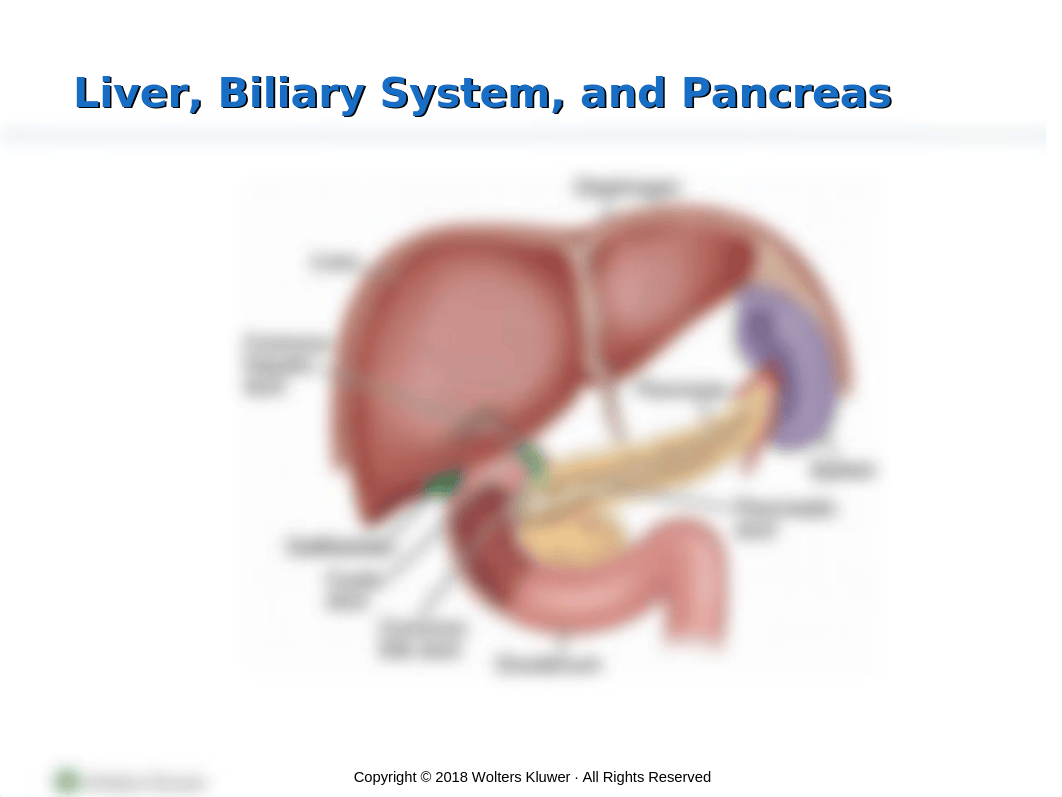 Assessment and Management of Patients With Biliary Disorders(3).pptx_dfx9xg4q48n_page5