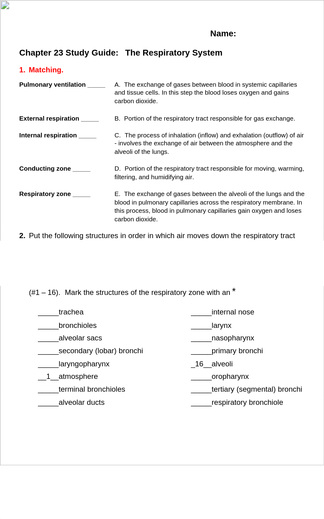 Chapter 23 Study Guide - Respiratory System.pdf_dfxdmh2v7i6_page1