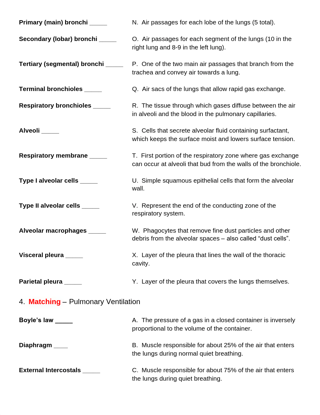 Chapter 23 Study Guide - Respiratory System.pdf_dfxdmh2v7i6_page3