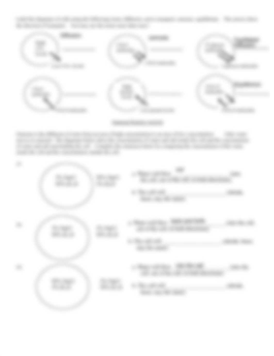 Michael_Woodard_-_Cell_Transport_Worksheet_2020.pdf_dfxig25rskw_page2