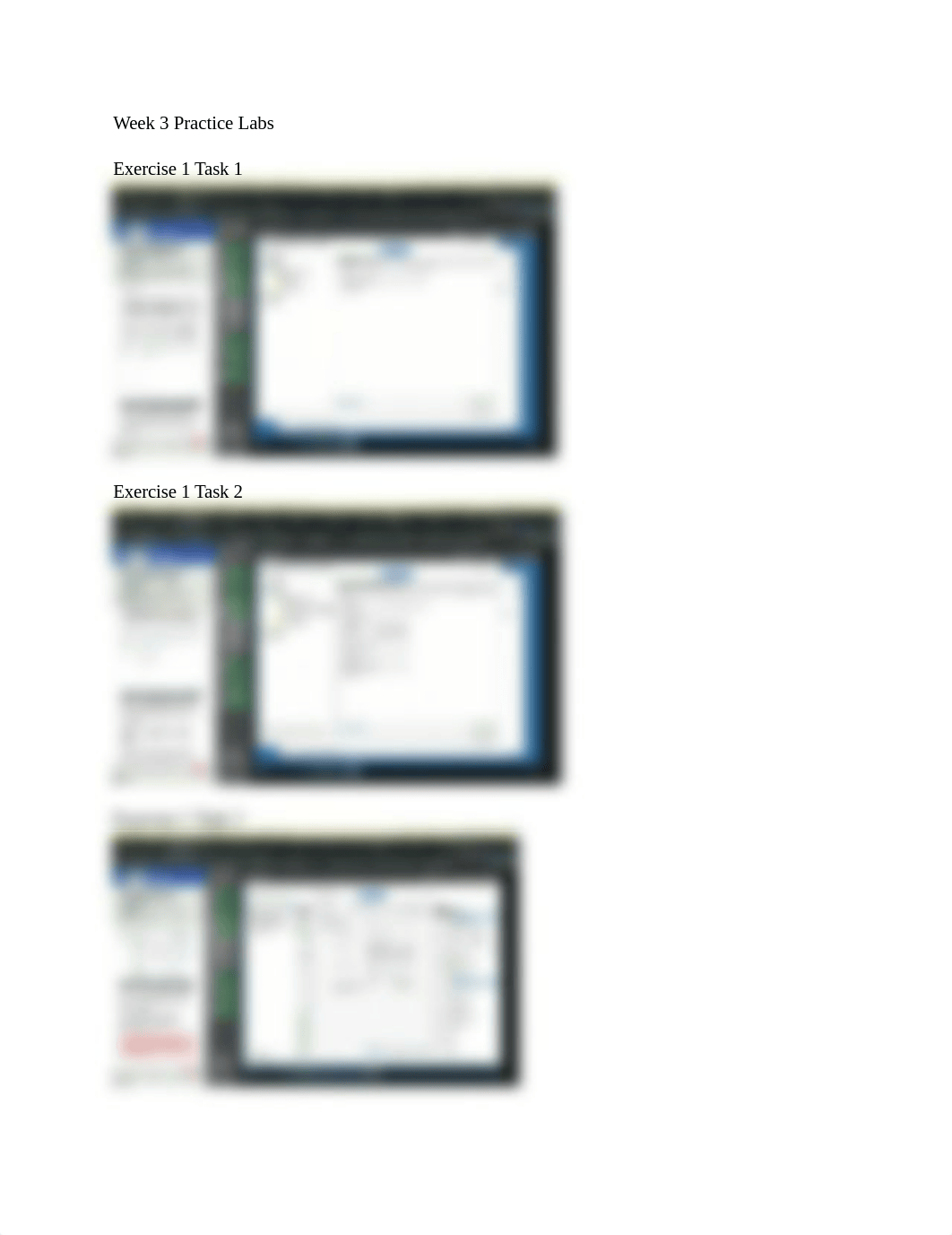 Week 3 Practice Labs.docx_dfxye4uznia_page1