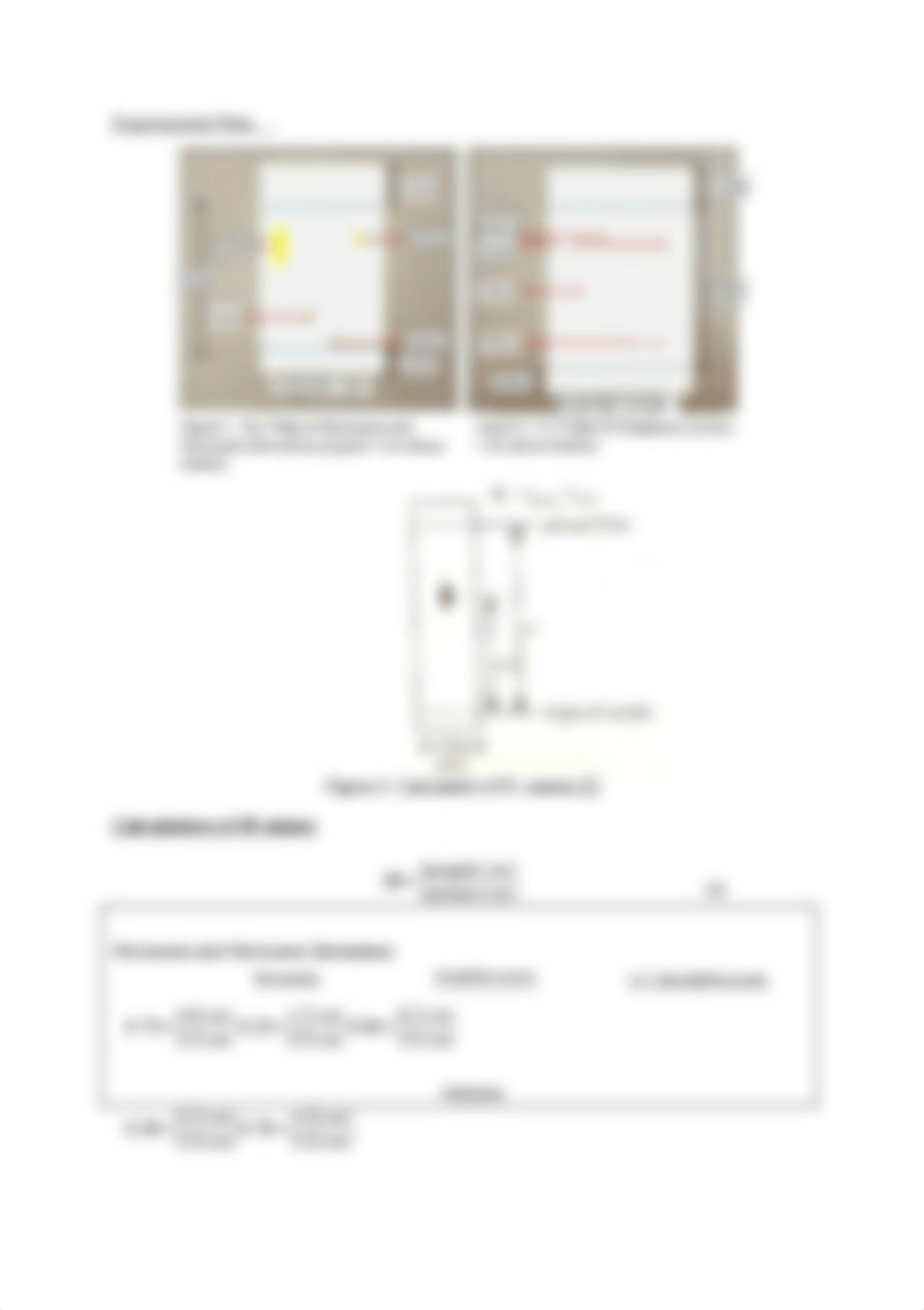 Exp 5-Chromatography Lab Report.docx_dfy5g8vnsiu_page3