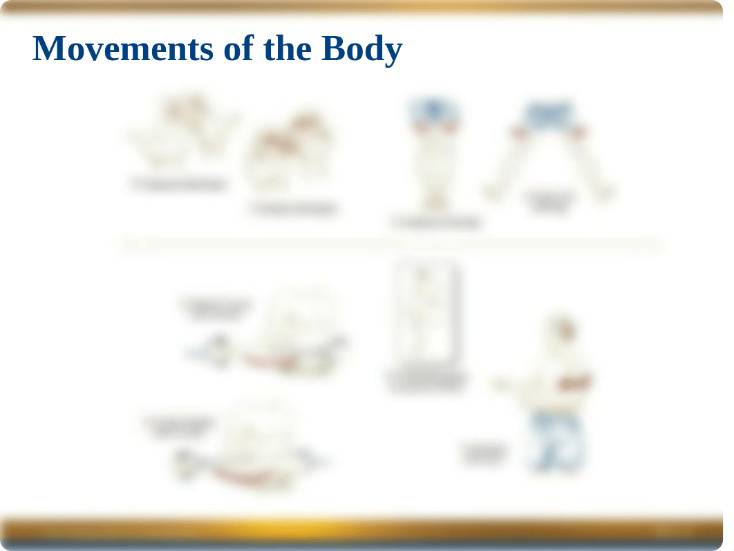 Chapter 1 Power Point -- Navigating the Body.ppt_dfy7t8zgqpx_page5