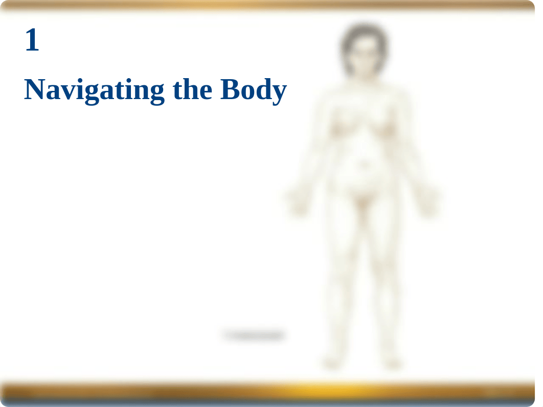 Chapter 1 Power Point -- Navigating the Body.ppt_dfy7t8zgqpx_page1