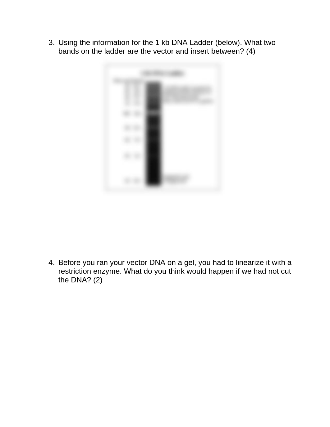 Lab 8_Conclusion Questions_Fall 2022.docx_dfycwb8jzqm_page2