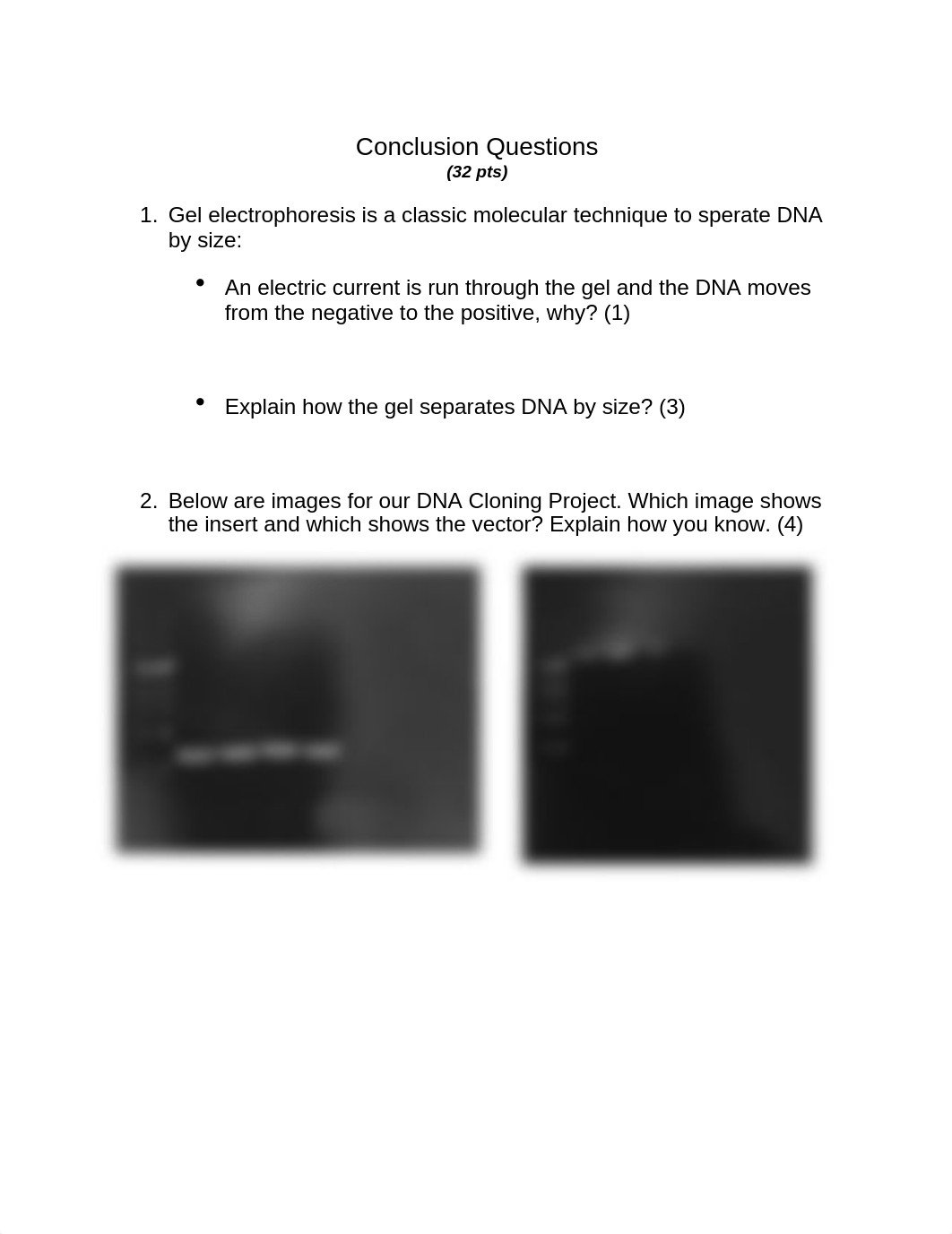 Lab 8_Conclusion Questions_Fall 2022.docx_dfycwb8jzqm_page1