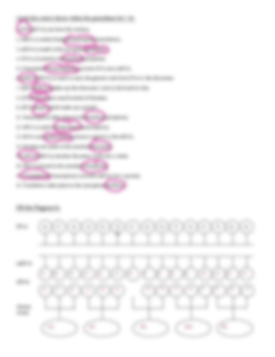 Nyaira Ballinger - protein synthesis1.pdf_dfyhvp4hklw_page3