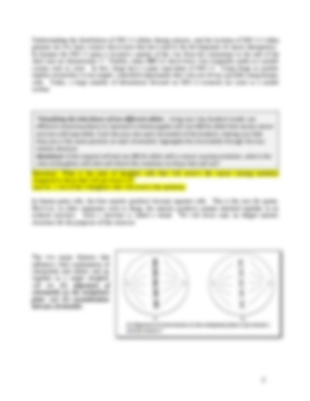 Week 6 Lab - Sordaria Meiosis 100_dfyjxl0n0bk_page3