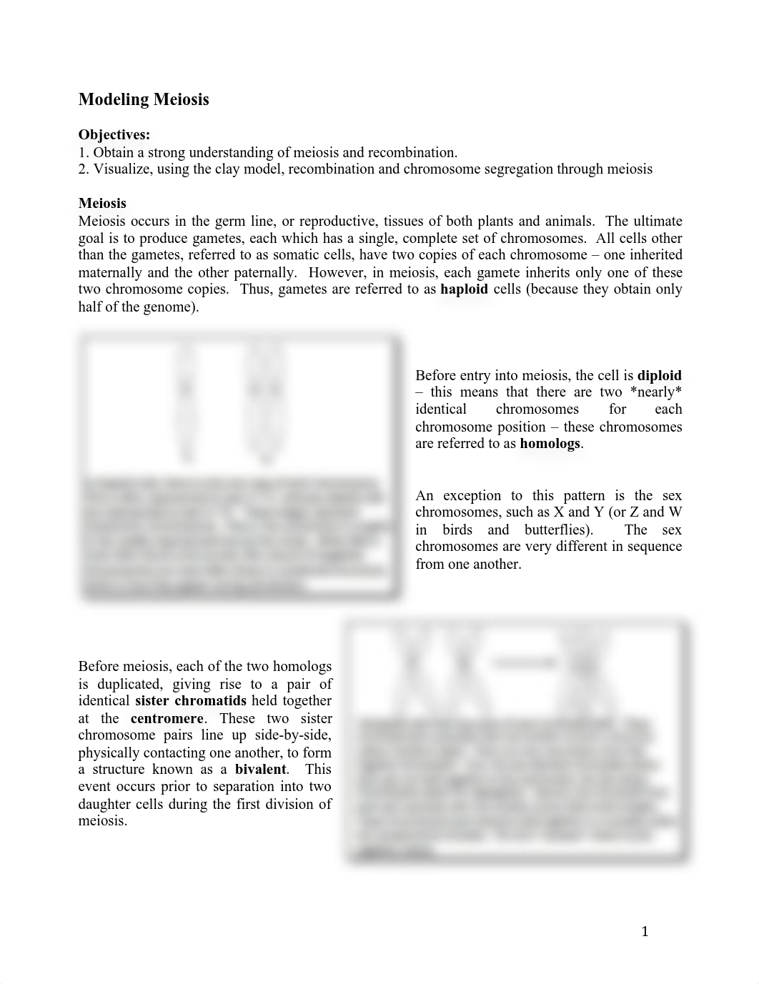 Week 6 Lab - Sordaria Meiosis 100_dfyjxl0n0bk_page1