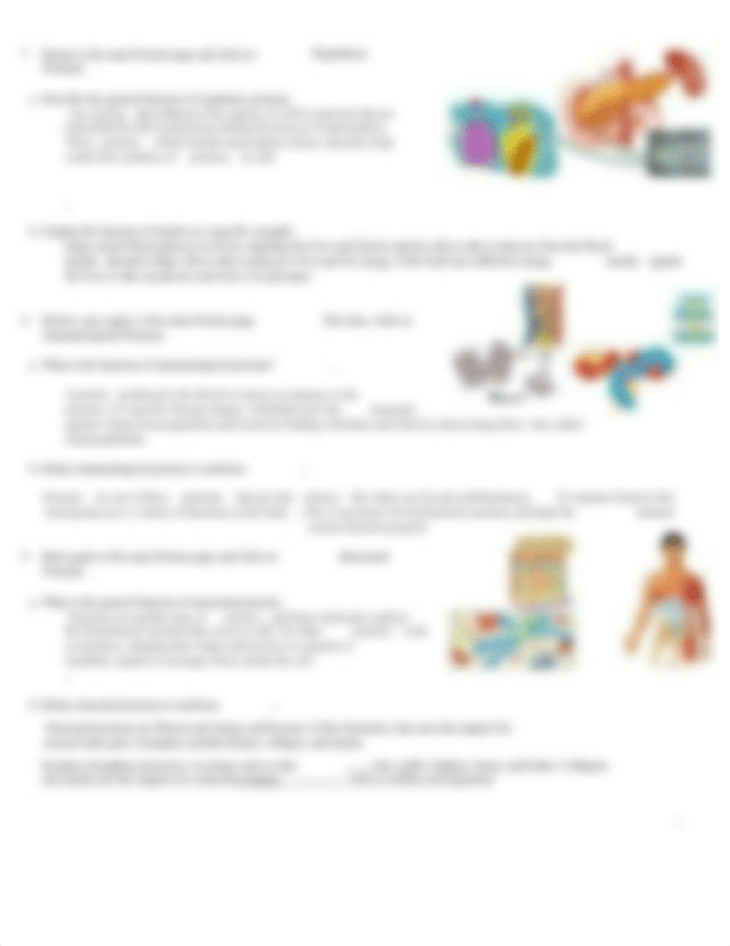 A&P 2 Chapt 25 The Role of nutrients.pdf.docx_dfyzdavocwn_page3