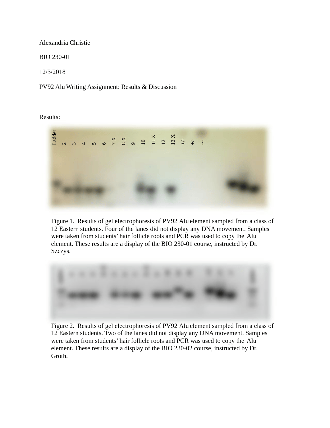 PV92 Alu Elements Results & Discussion.docx_dfz7btns0lp_page1