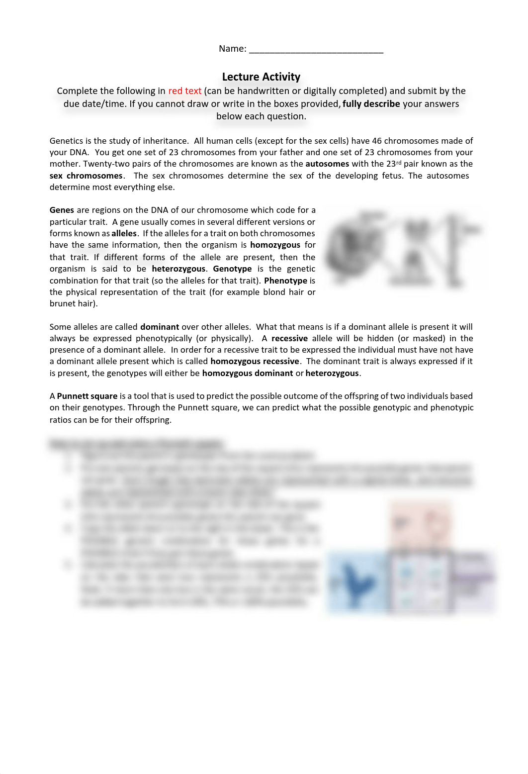 Citrus Lecture Activity Punnett Squares.pdf_dfzdq1o4xwn_page1