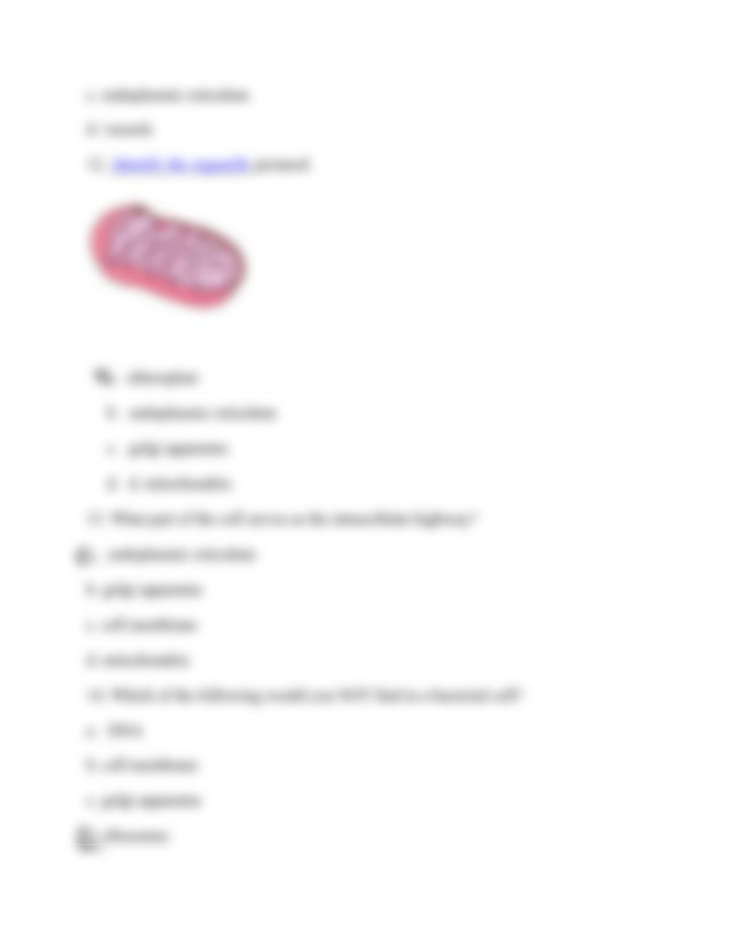 Cell Organelle Test.docx_dfzpyfwbdnv_page4