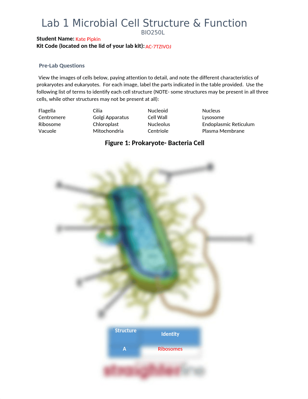 lab 1.docx_dfzxi1dlmyz_page1