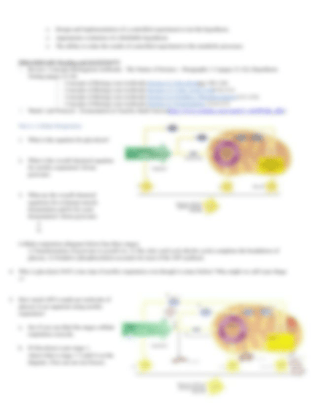 Bio160_FALL21_LM6_Respiration and Fermentation.docx_dg0elf142bd_page2