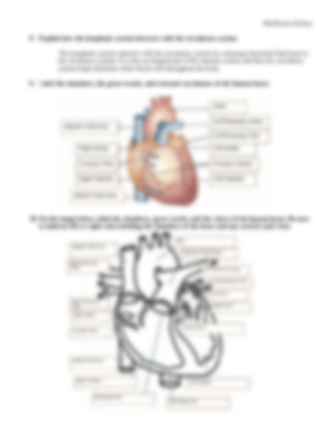 Week 10 - Cardiovascular and Lymphatic Systems Concept Check.pdf_dg0h0ji23kf_page2