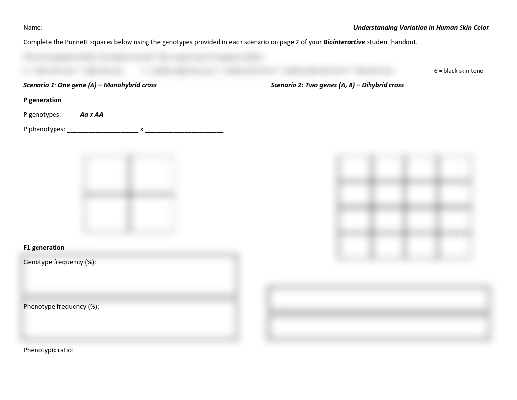 12b_honors_Understanding_Variation_in_Human_Skin_Color_Punnett_Squares.docx.pdf_dg0imkdjj5g_page1