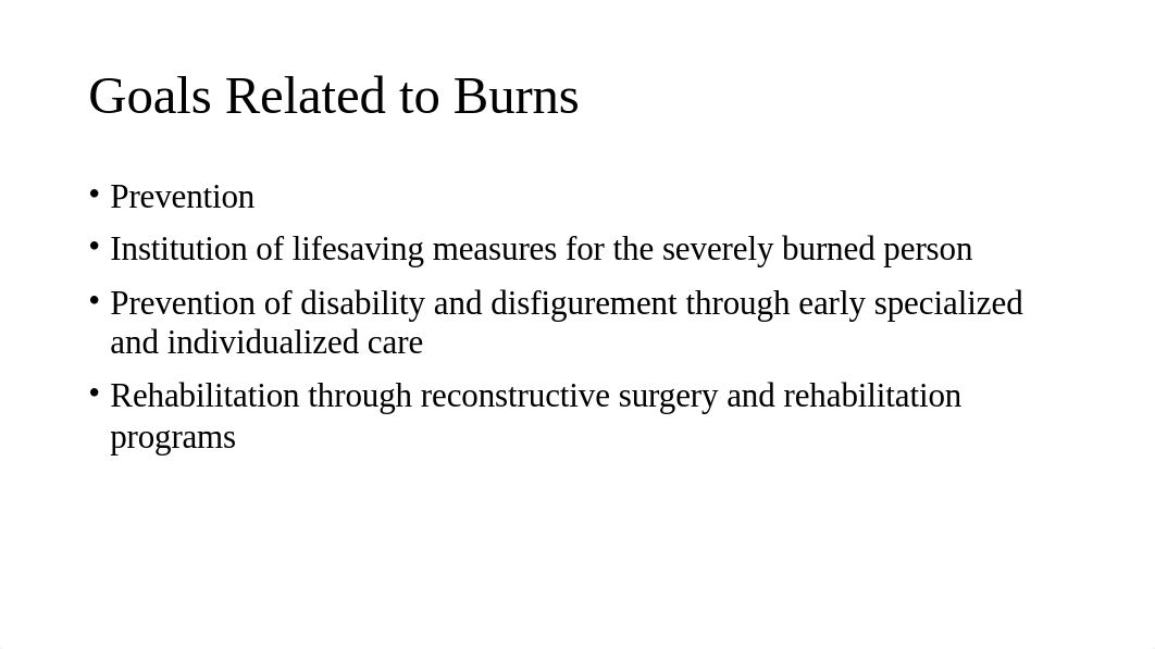 Burns PPT.pptx_dg0mxgo63y7_page3