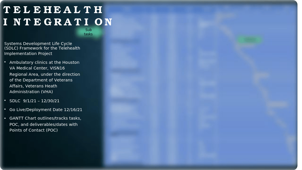 C798 Telehealth Integration.pptx_dg0wq7p2o2p_page3