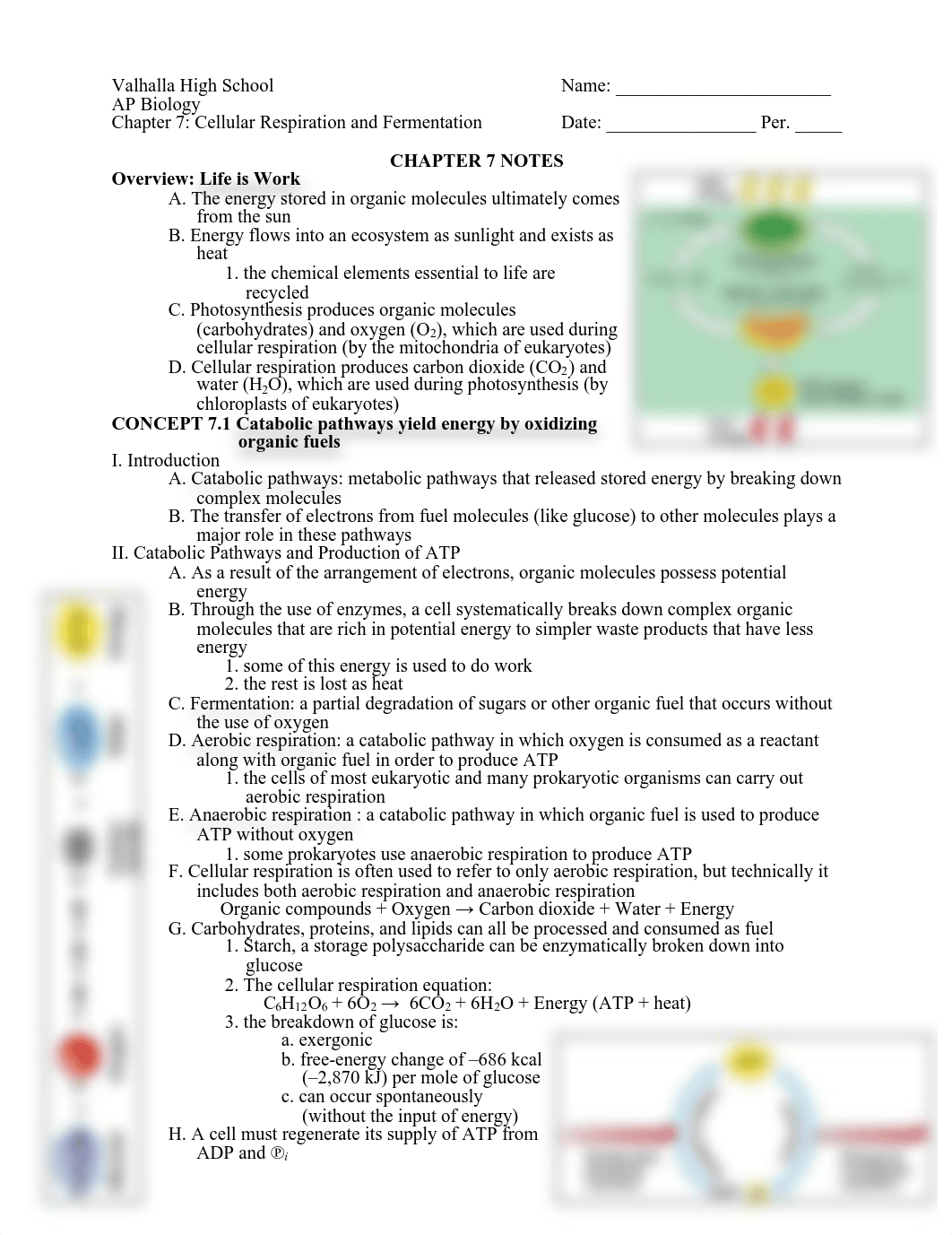 AP_Biology_Chapter_7_Notes.pdf_dg101pfz1de_page1