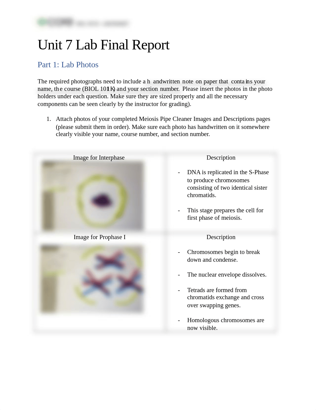 Edmond_Unit7_FinalReport.docx_dg1bmai8jq4_page1