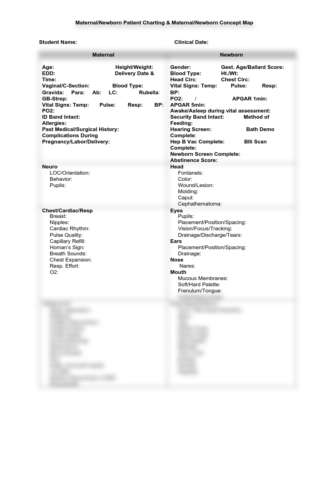 Maternal Newborn Patient Template Blank.pdf_dg1rlup0dtz_page1