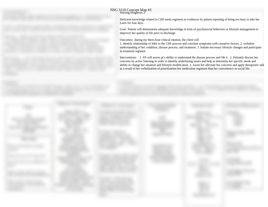 NSG 3110 Concept Map 3.docx_dg1rpifraer_page1