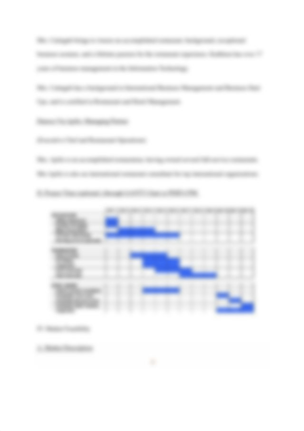 tle business plan.docx_dg1xgfjutgm_page4