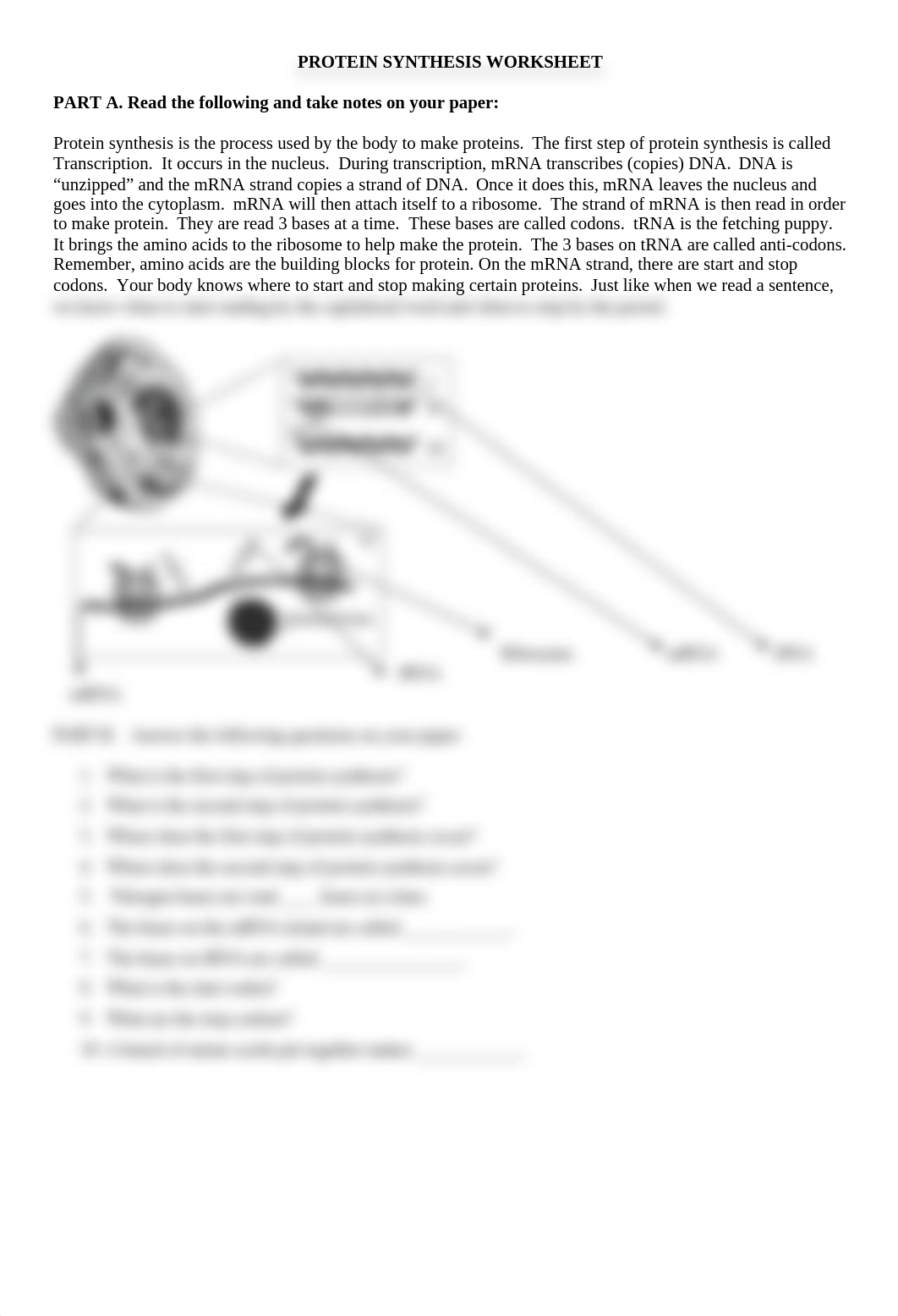 protein-synthesis-worksheet-1_dg21qksywq4_page1