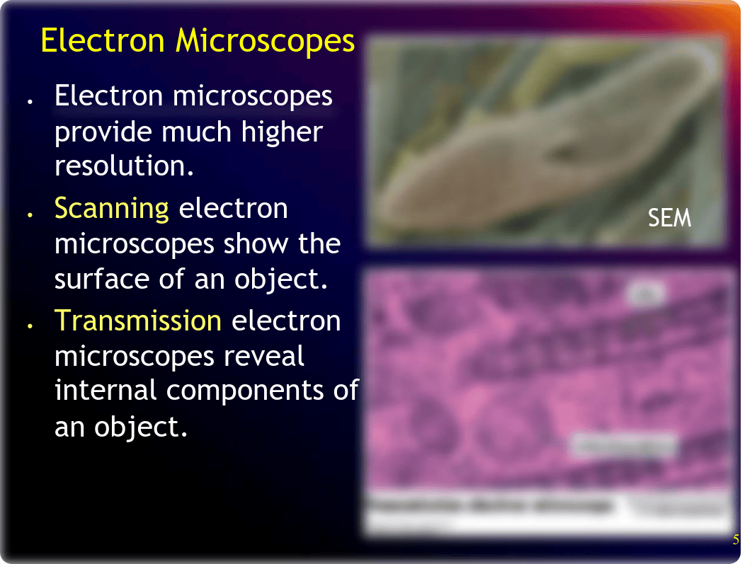 Ch 3A - Presentation Cell Structure and Function- Cell Basics.pdf_dg26pdn96u7_page5