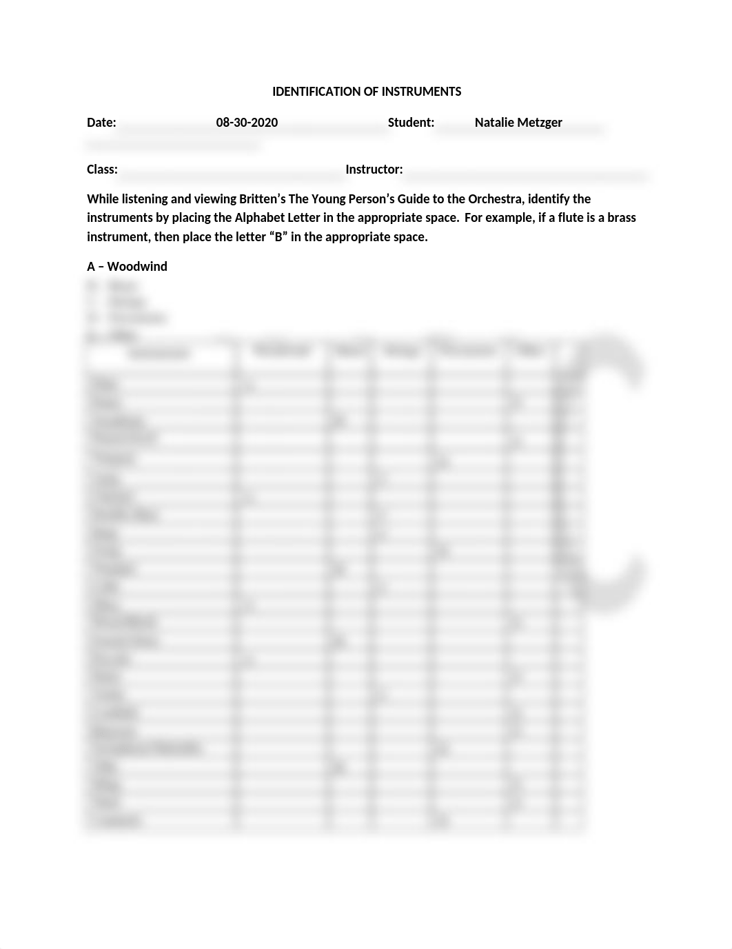 Identification of Instruments (2).docx_dg2lmtny9ci_page1