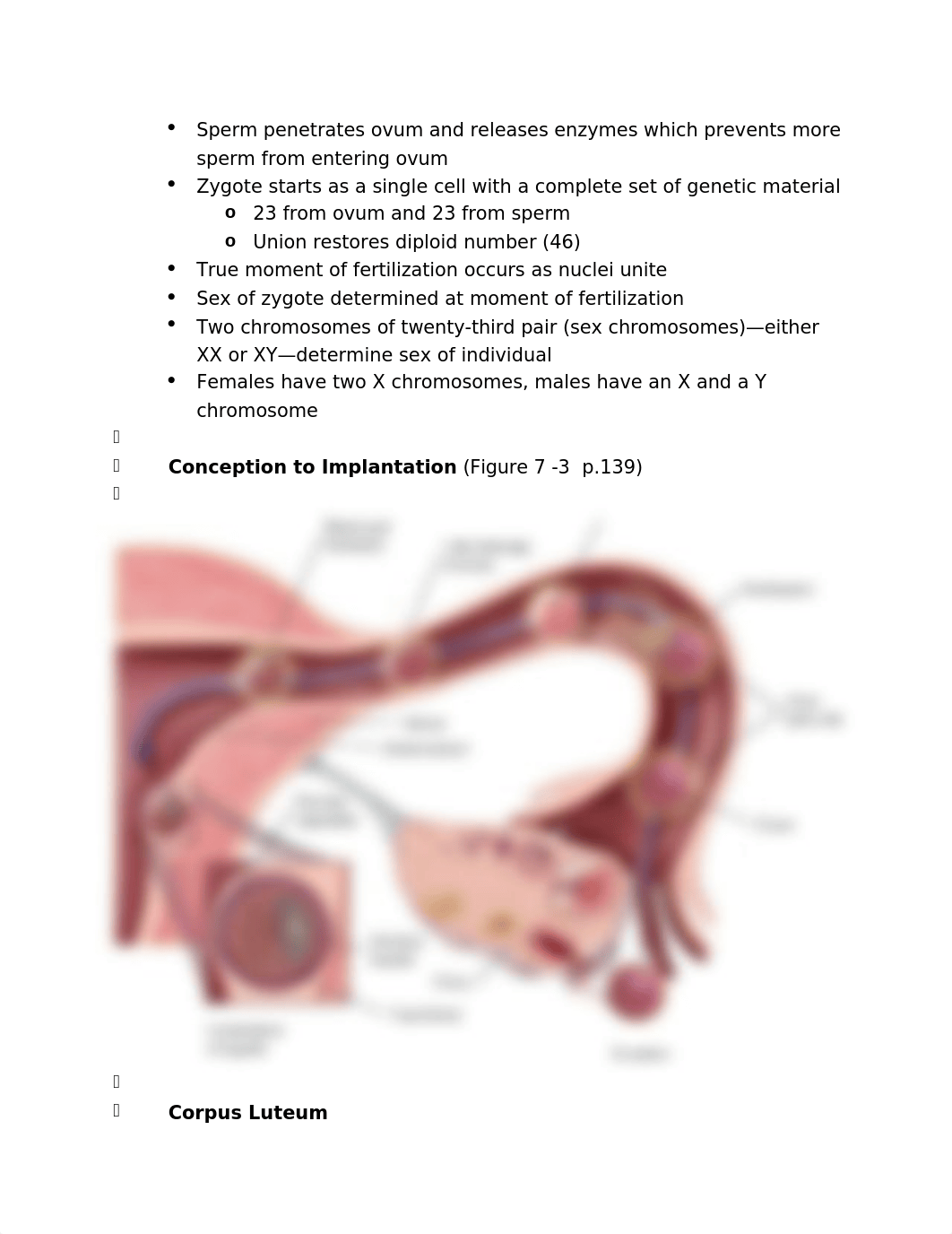 OB Exam 1.docx_dg2sw6ap2sk_page4