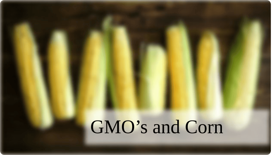 GMO's and Corn.pptx_dg2vktp8k27_page1