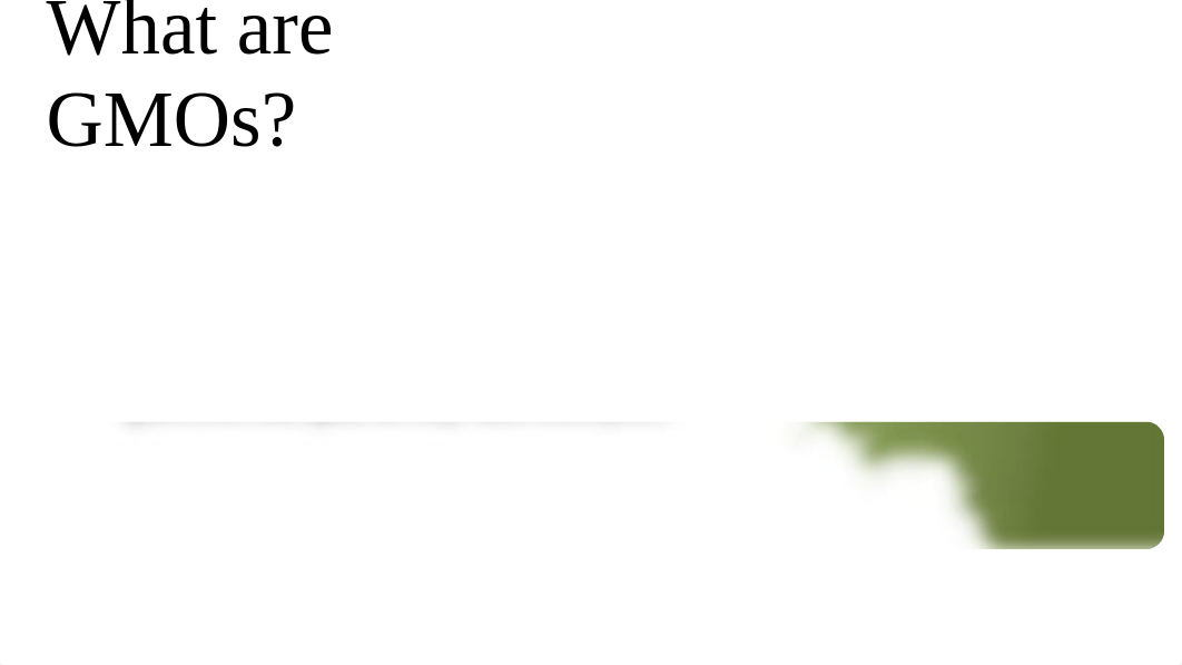 GMO's and Corn.pptx_dg2vktp8k27_page3