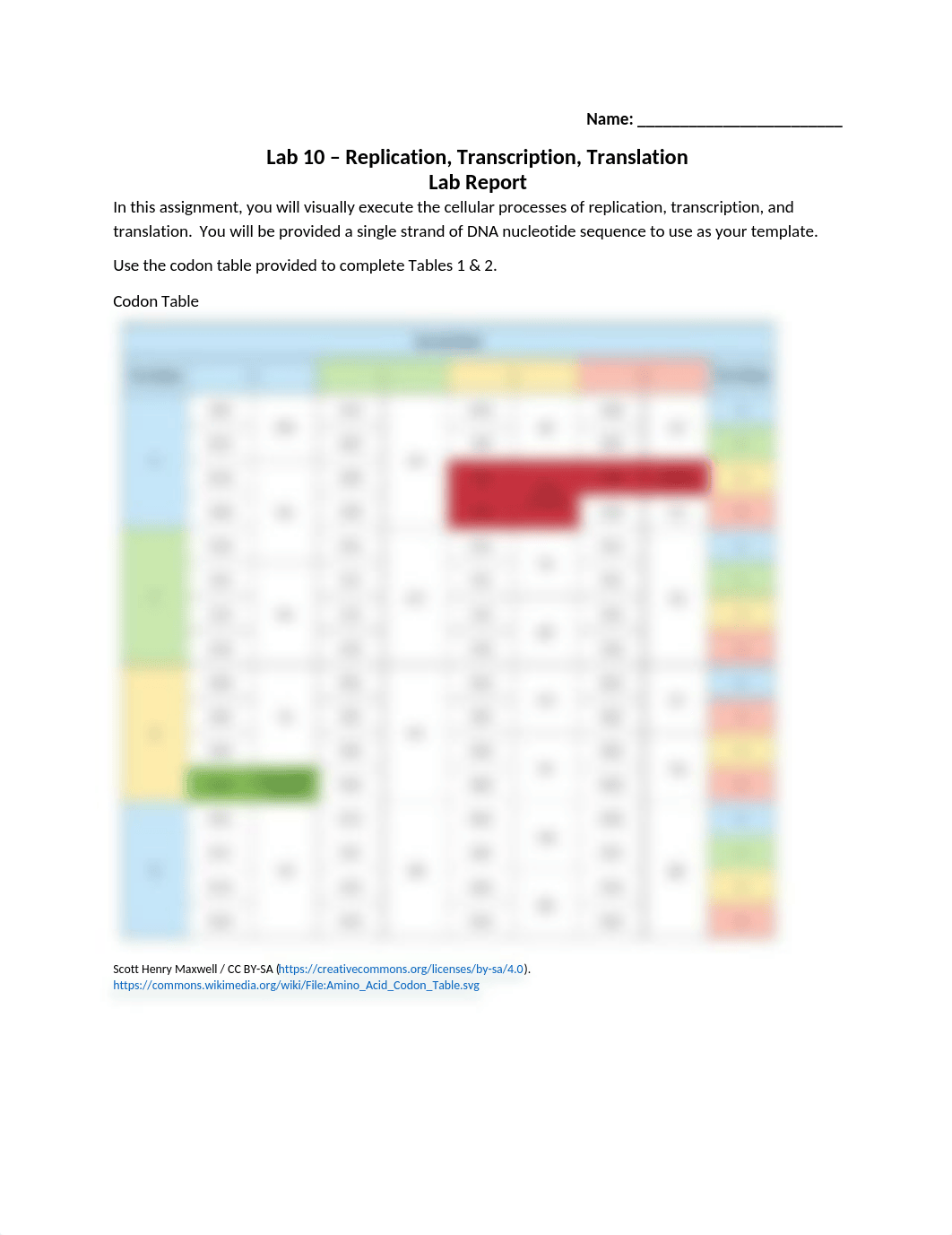 Lab 10 Replication-Transcription-Translation Lab Report (1).docx_dg2vp8ez2pu_page1