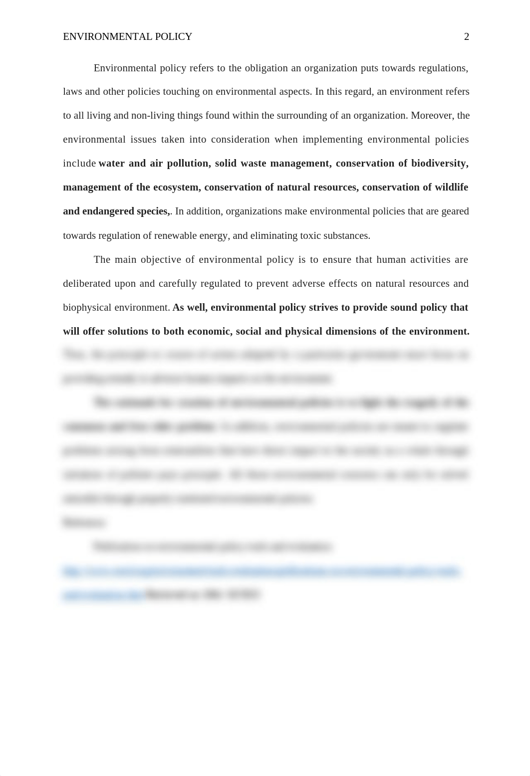 Environmental Policy.doc_dg2xid7hhws_page2