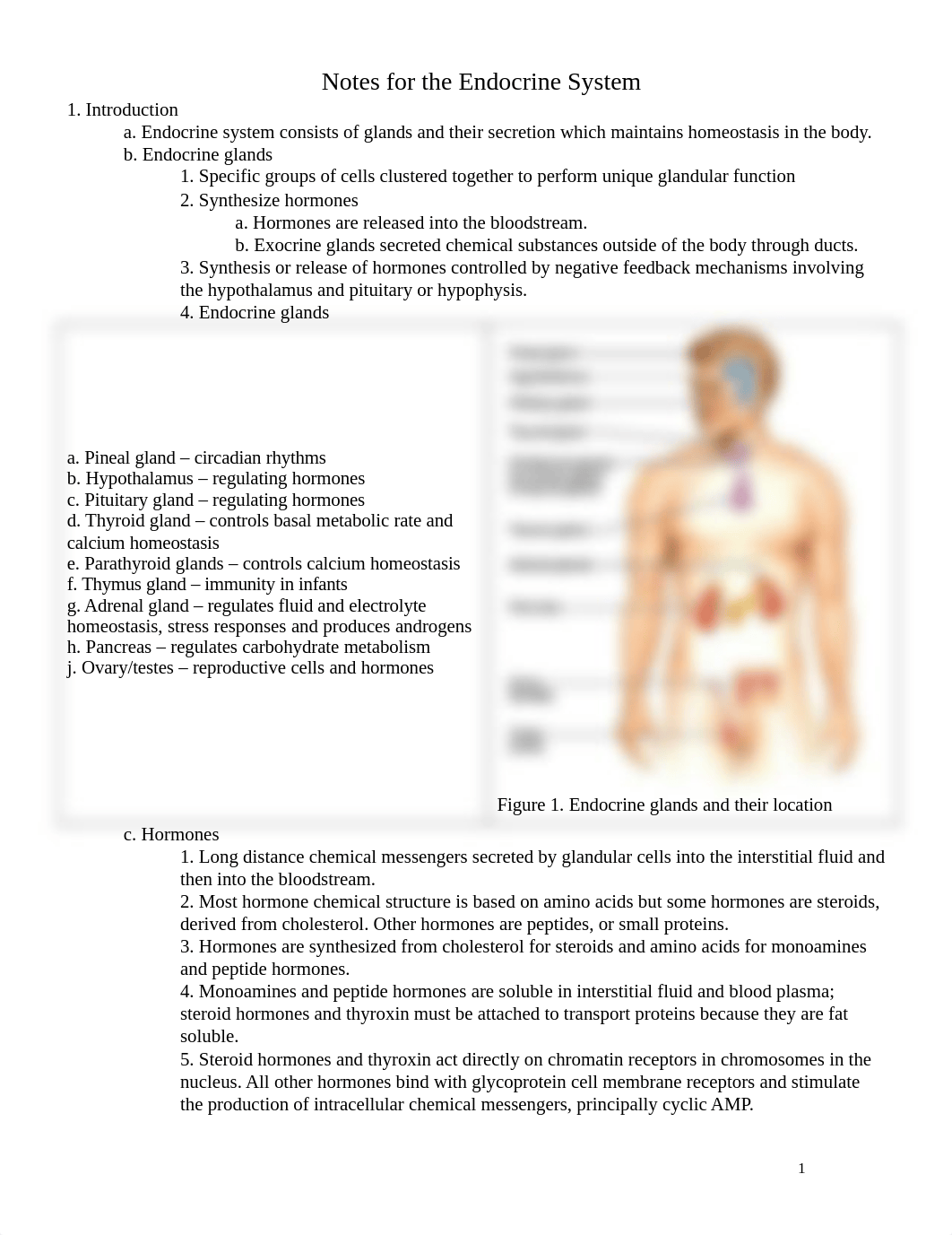 Endocrine Upload.doc_dg2yptfmi4o_page1