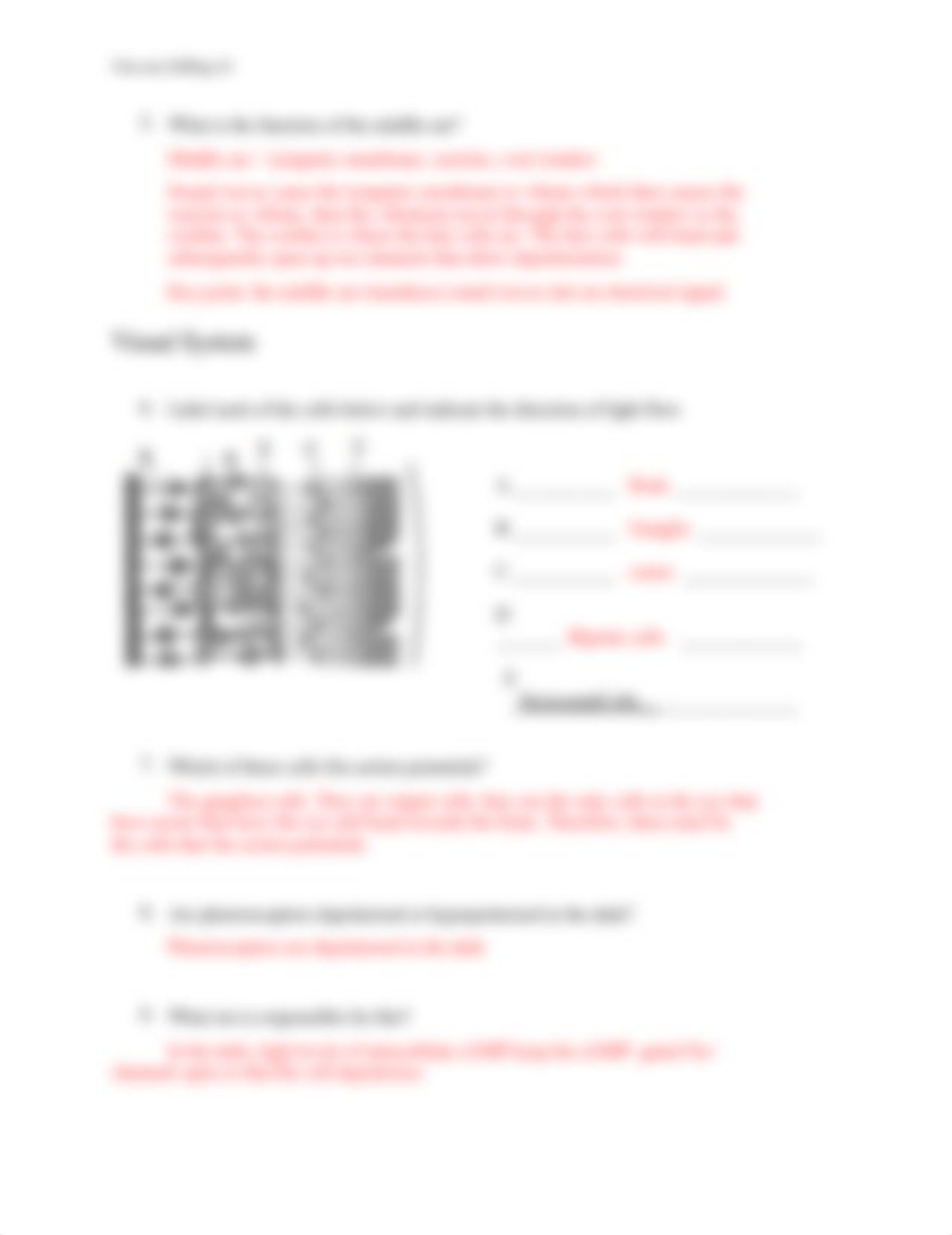 Worksheet 3 Winter 2020 key.pdf_dg33nryu8ds_page2