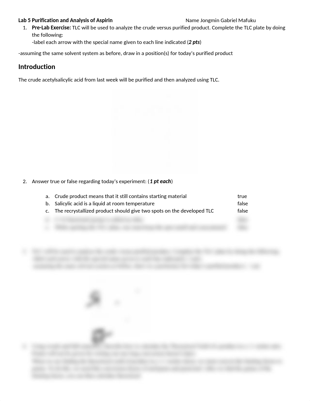 lab5.docx_dg38n9n0ai5_page1