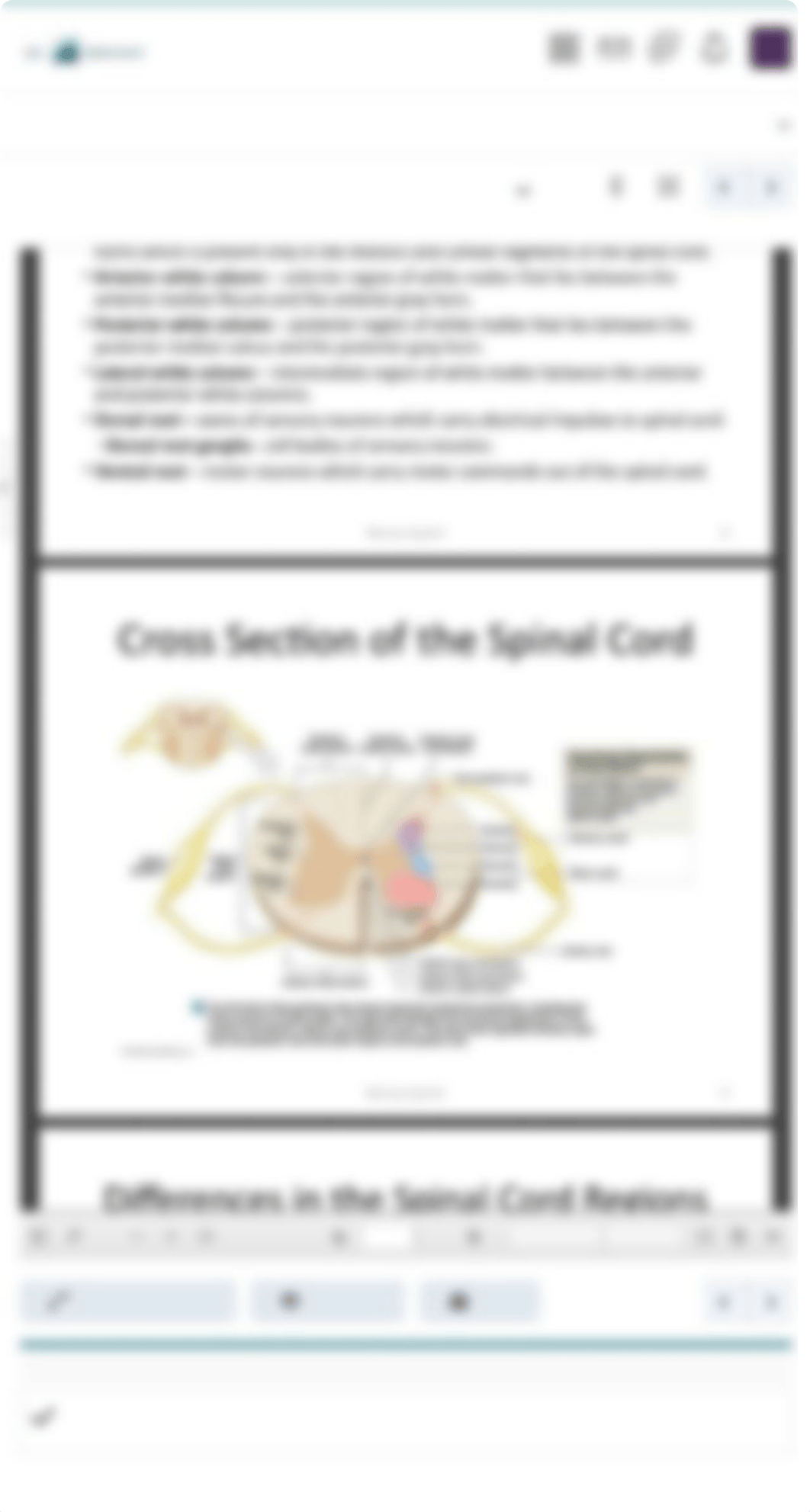 Ch. 13-14 Nervous System - Human Anatomy & Physiology BIOL 2010 IZ1 Lecture.pdf_dg3c5j2qwom_page1