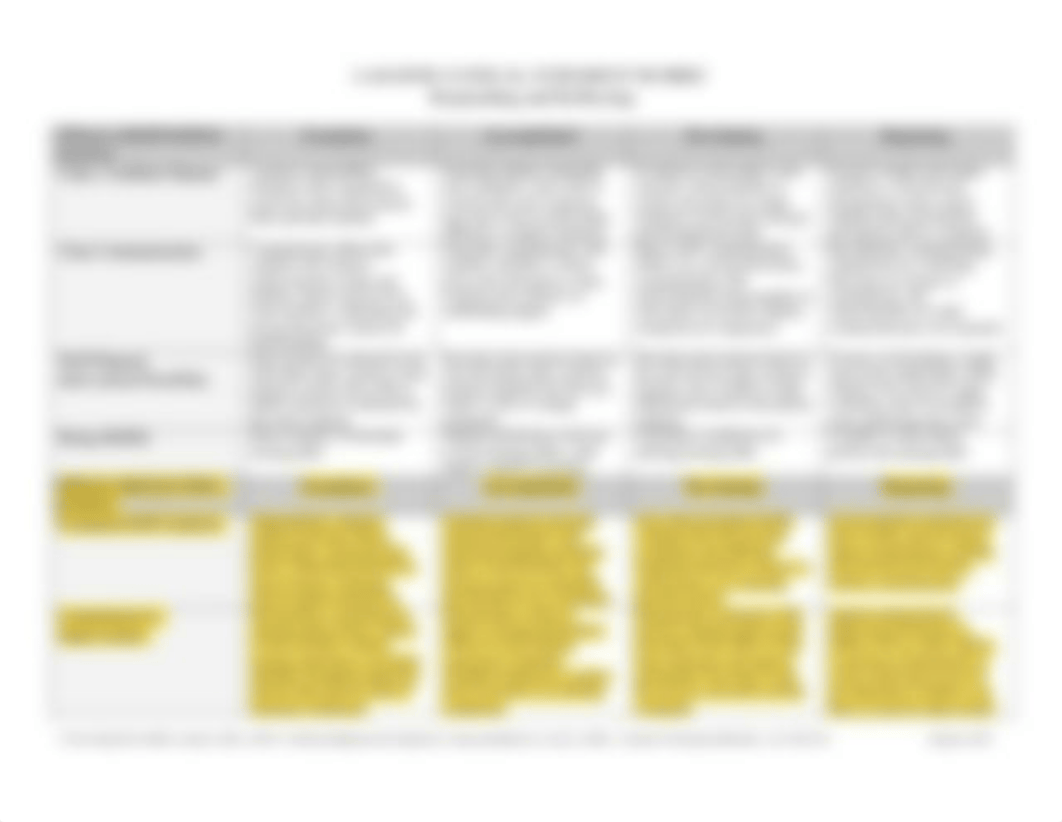 Lasater Clinical Judgment Rubric.pdf_dg3ifu6r2ut_page2