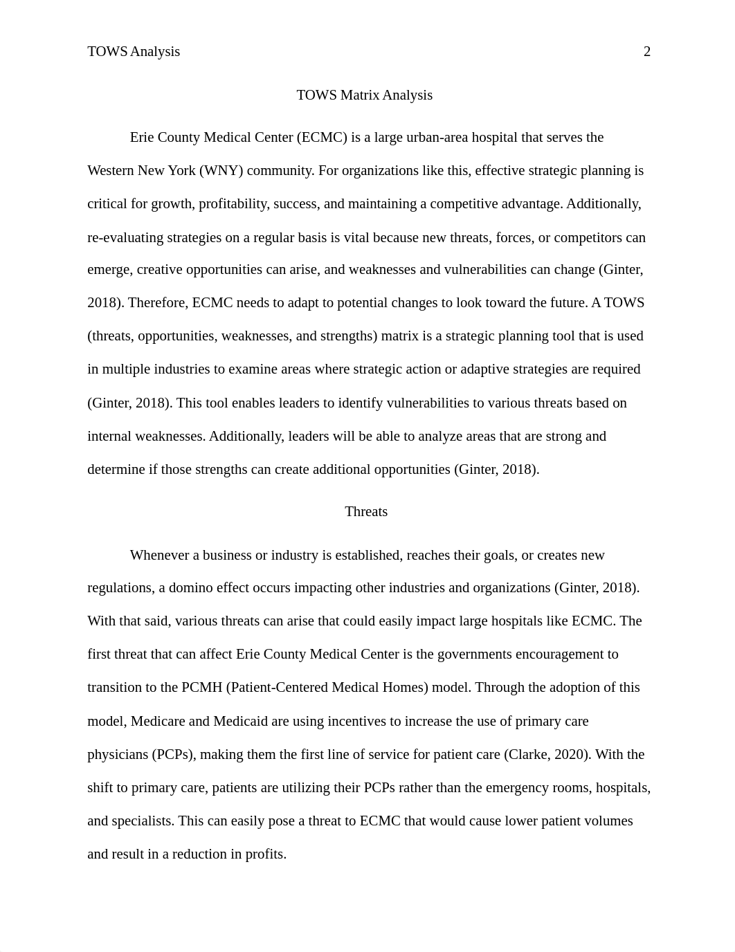 MHA-FP5010_Kirsten Furness_Assessment 2-1 (TOWS Matrix Analysis).docx_dg3l0udfxe9_page2