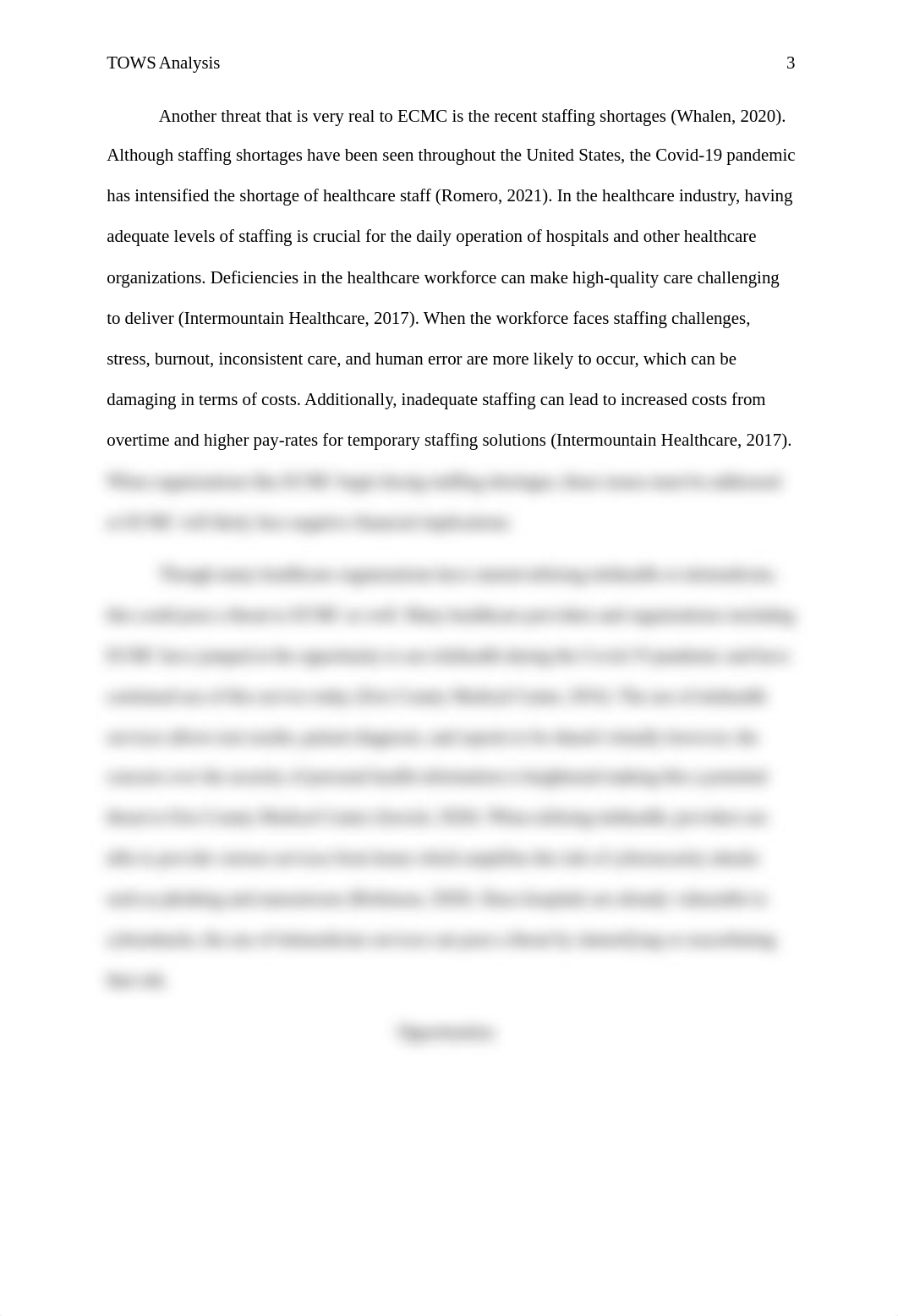 MHA-FP5010_Kirsten Furness_Assessment 2-1 (TOWS Matrix Analysis).docx_dg3l0udfxe9_page3