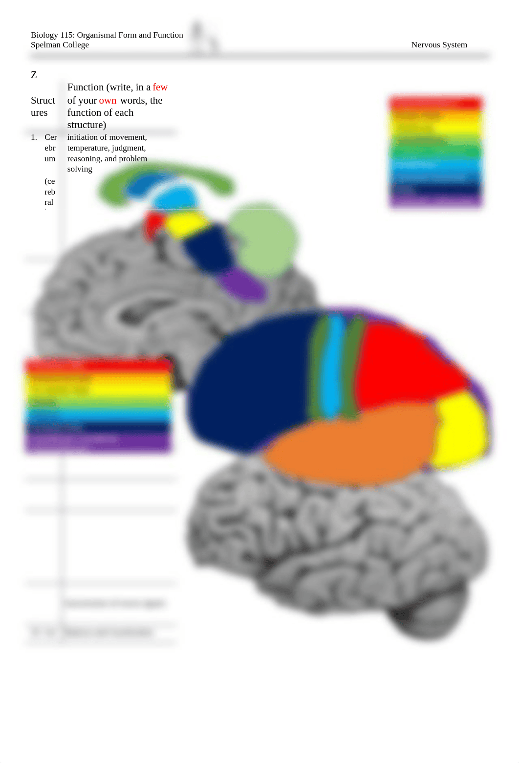 Bio 115-21 Human Brain Worksheet.docx_dg3pg64xgpm_page2