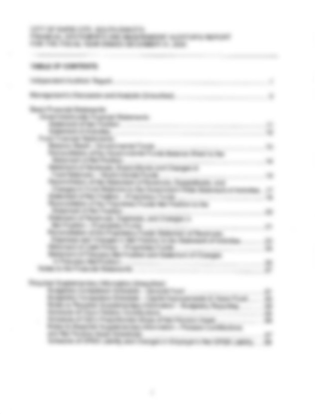 Rapid City, SD Finance - Audit 2020 (1).pdf_dg3sxpiqe6z_page2