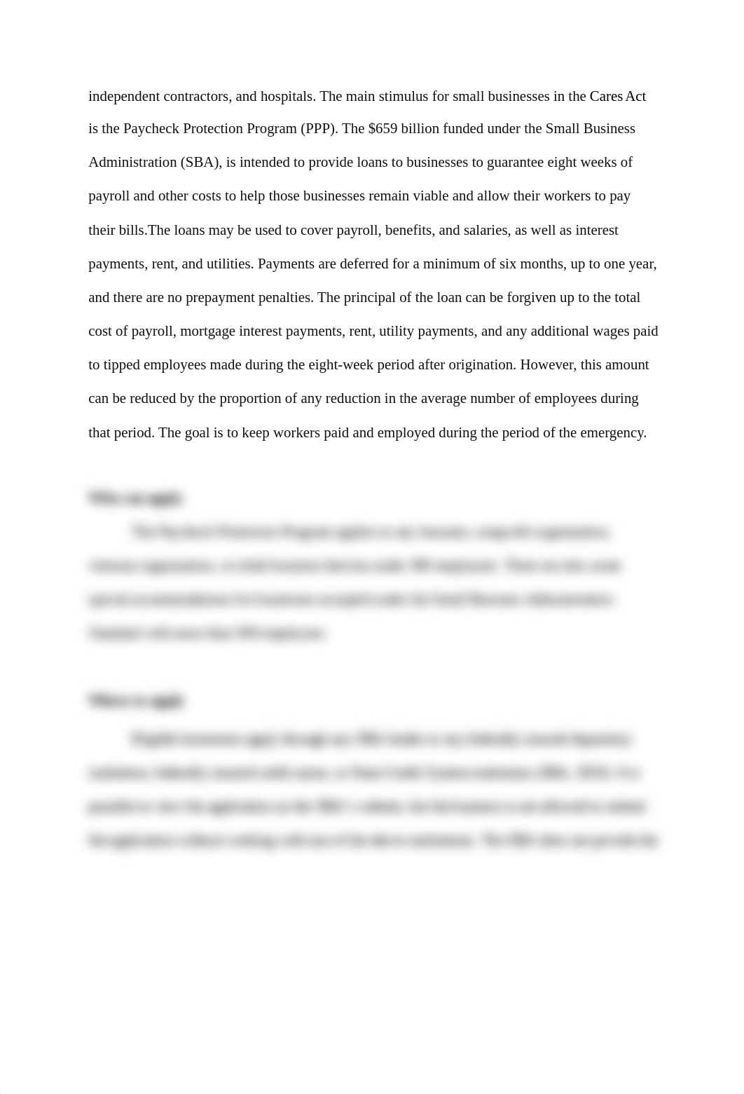 Final PPP loan paper.docx_dg3unr263kc_page2