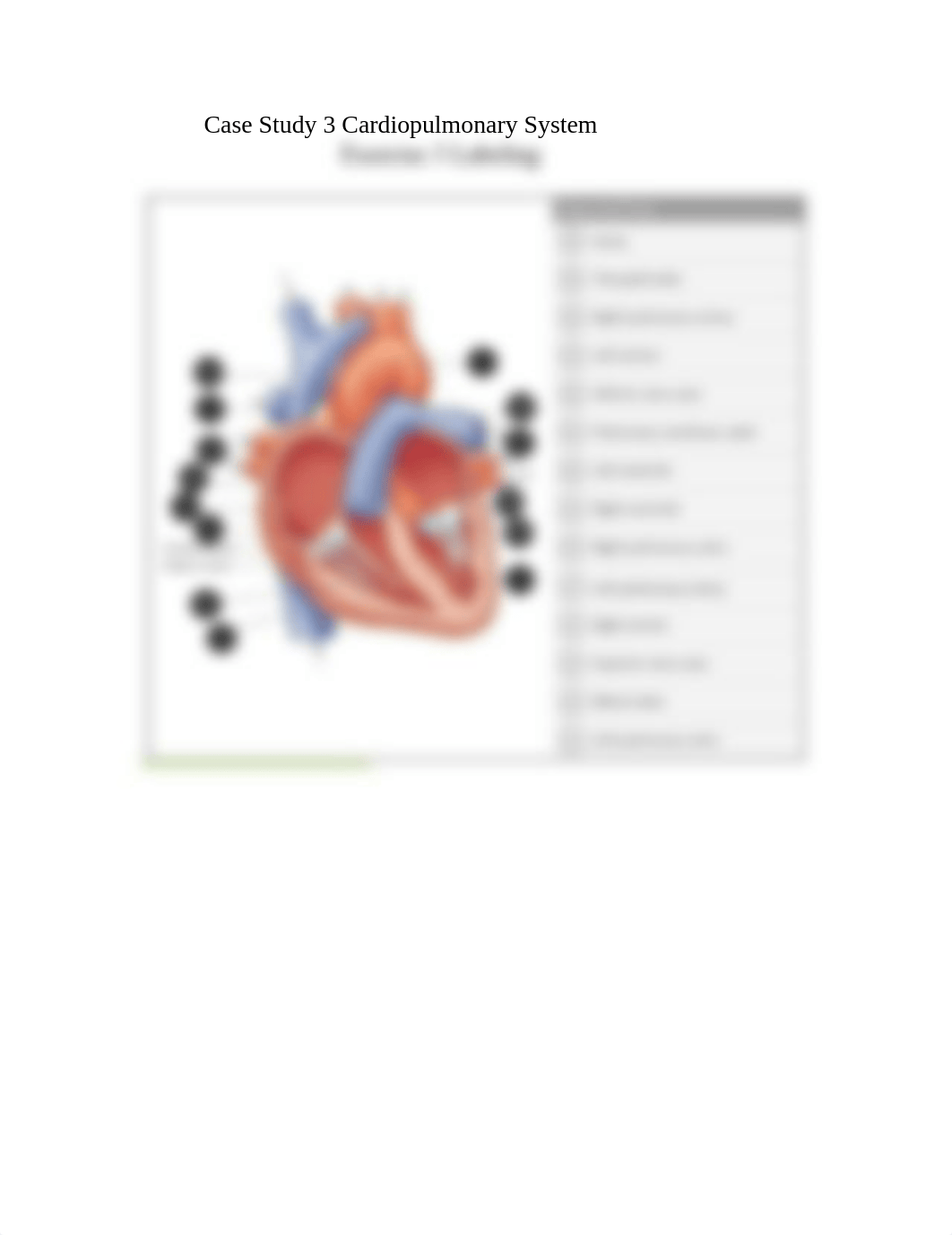 Case Study 3 Cardiopulmonary System Exercise 3 Labeling.docx_dg3v4enk6bu_page1