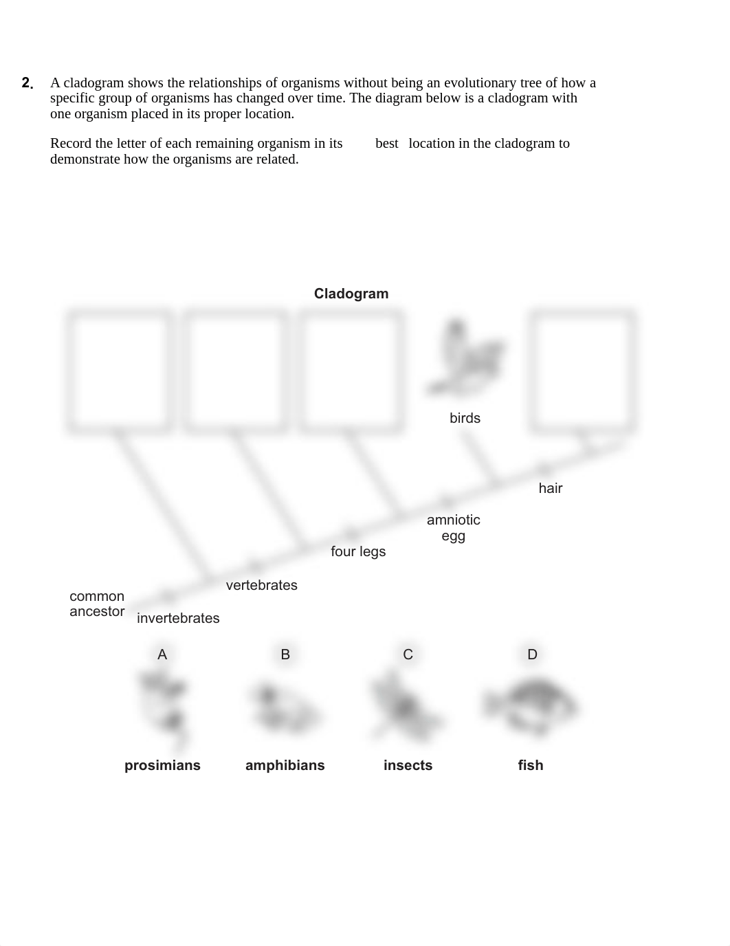 biology exam questions and ansewers.pdf_dg3xqmdnztp_page4