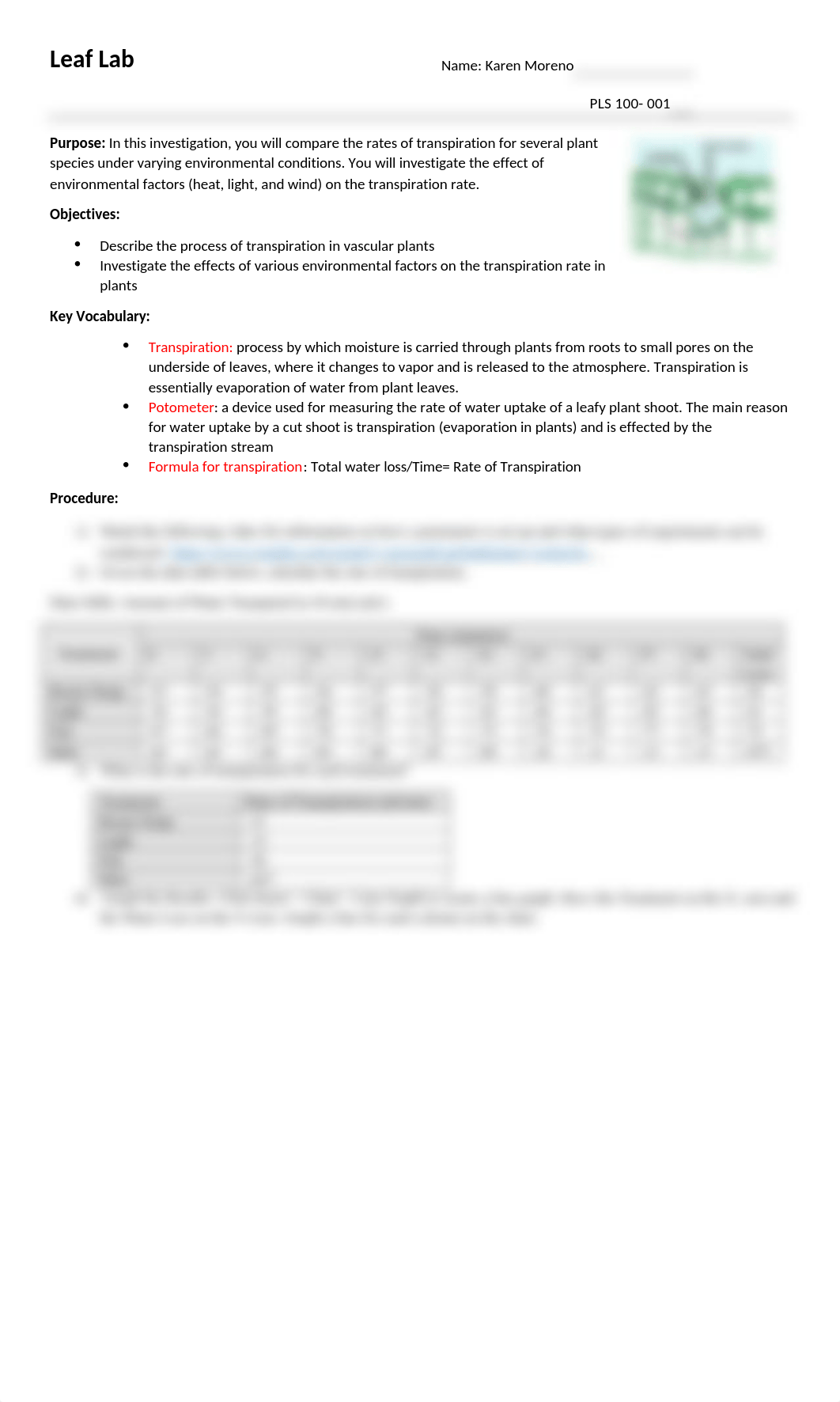 Leaf Lab.docx_dg3yuun4181_page1